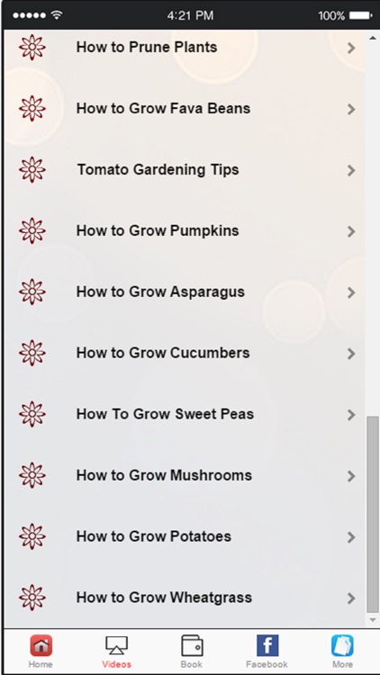 Gardening for Beginners - Simple Gardening Tips and Tricks