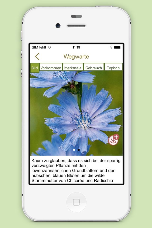 Wildkräuter & Beeren bestimmen – entdecken Sie heimische Kräuter und Beeren in Natur und Garten screenshot 3