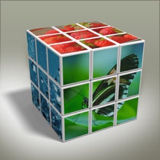 Activities of Flows 3D Puzzle - Adventures Something Speed Guess