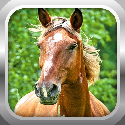 3D Horse Simulator Free: Extreme Forest Horse Run Sim Game icon