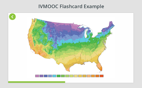Information Visualization MOOC Flashcards screenshot 2