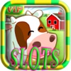 A Farm: Casino Slots Free Game HD