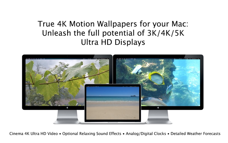 True motion. Обои Мак ОС. Apple Cinema display.