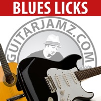 Blues Guitar Licks Lessons