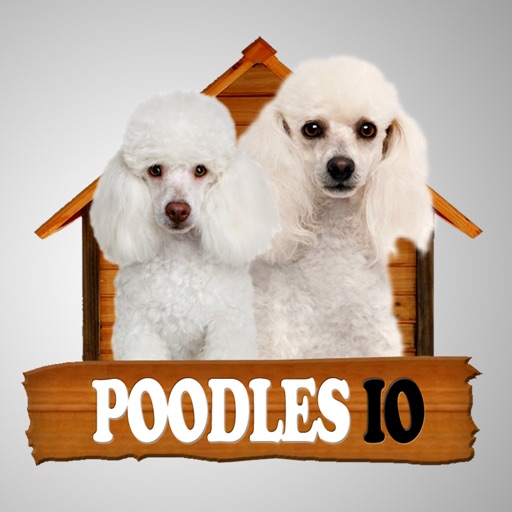 Poodles IO icon