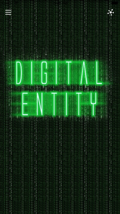 The Digital Entity