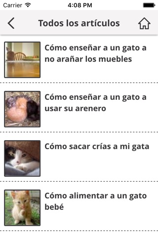 Gatos: Cuidados y Educación screenshot 2
