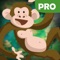 Save monkey life pro