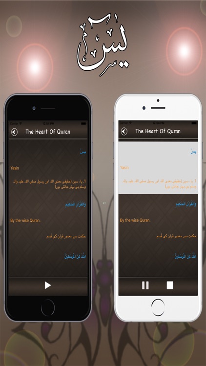 Surah Yasin Audio Urdu - English Translation Pro