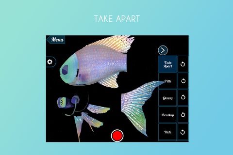Fish 3D screenshot 2