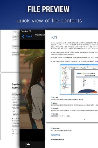 iDLoader Pro - File Manager & Files Transfer screenshot 3