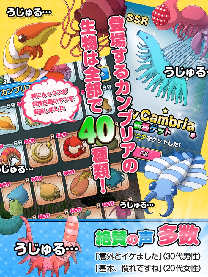 カンブリアン少女