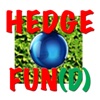 Hedge Fun