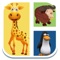 Animal Learn English—Pictures Figure(Kids Education)