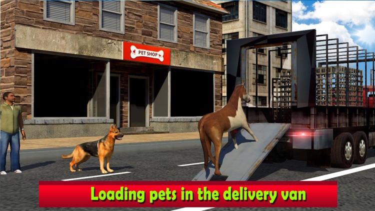 Pet Home Delivery: Van