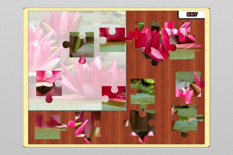 Big Jigsaw Puzzle Level Set - Free screenshot 2