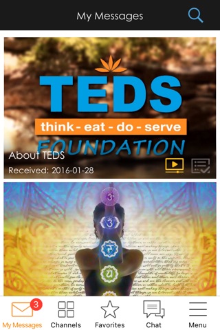 TEDS screenshot 3
