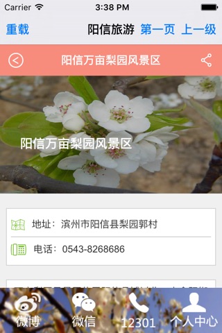 阳信旅游 screenshot 2