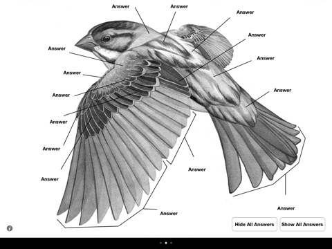 Learning Birds - Topography screenshot 3