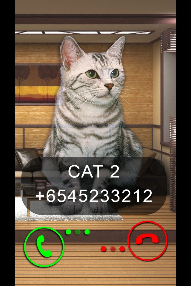 Fake Video Call Cat screenshot 2