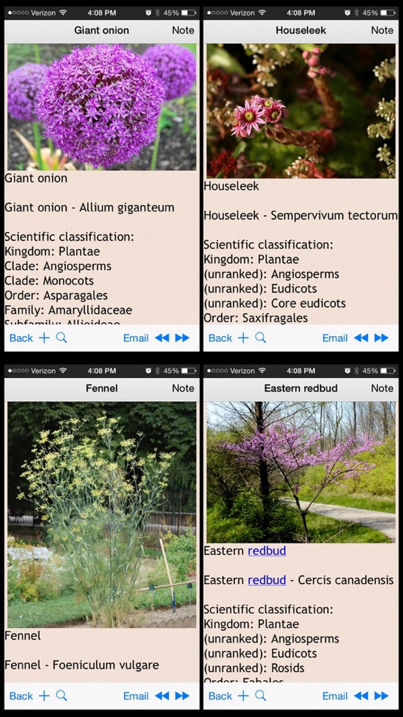 【图】The Complete Plants Directory(截图1)