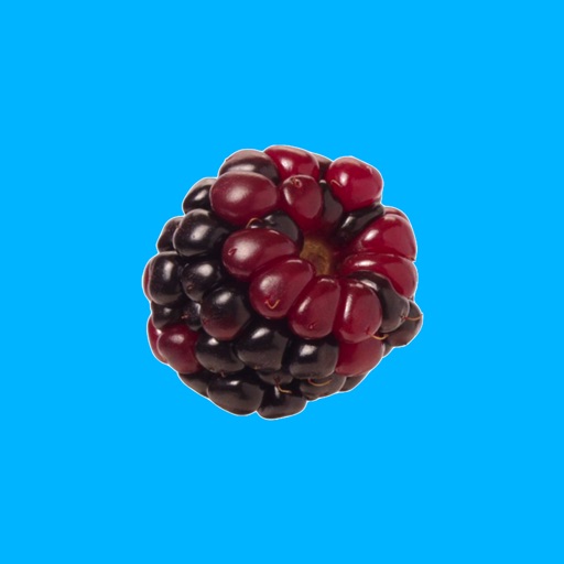 Fruit Hopper iOS App