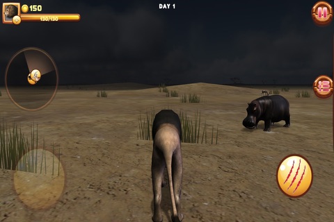 Wild Lion Adventures screenshot 4