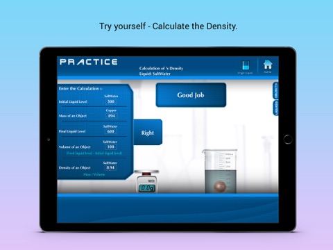 Density of Solids screenshot 4