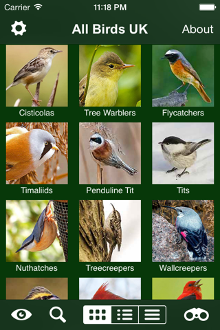 All Birds UK - the Photo Guide screenshot 4