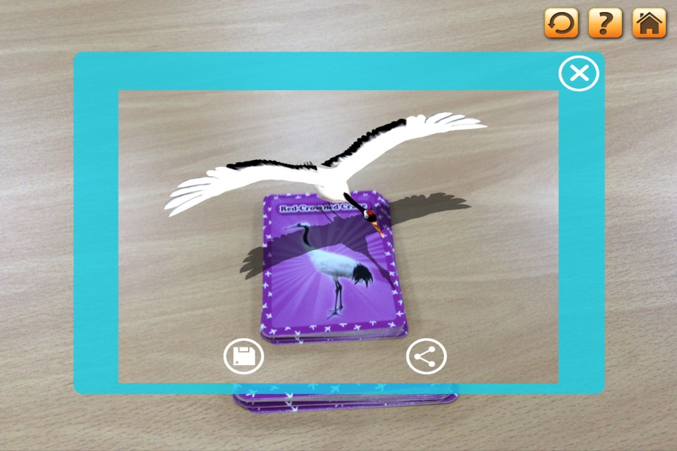 3D LEARNING CARD BIRDS screenshot 4