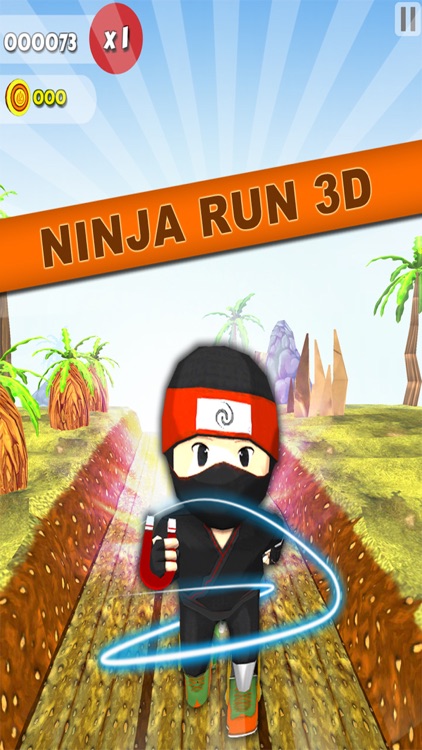 Ninja Run 3D Game