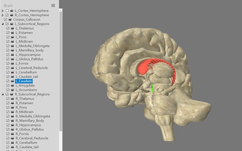 Interactive Brain Model screenshot 3