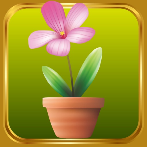 Mini Garden iOS App