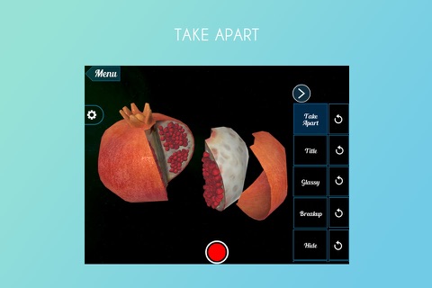VR Pomegranate screenshot 2