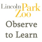 Observe to Learn: Exploring Animal Behavior