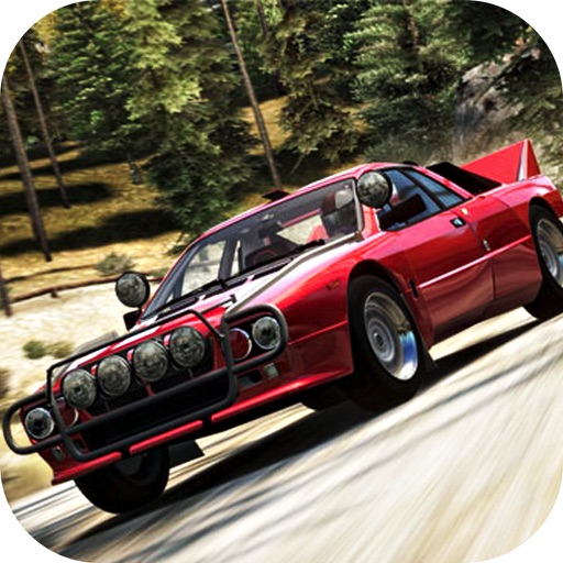 Rally Racer Dirt