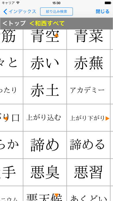 現代スペイン語辞典・和西辞典 改訂版のおすすめ画像4