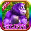 Loardof Casino Slot Machine: Big PRIZES Slot Free Game HD321011