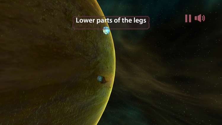 MindCalm screenshot-3