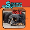 Slideshow Lullabies: Animals FREE