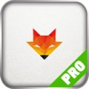 Game Pro Guru - Star Fox Adventures Version