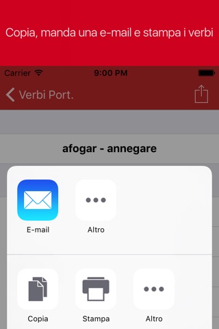 Portuguese Verb Conjugator screenshot 4