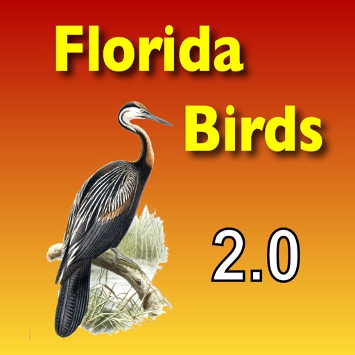 Birds - Common Species of South Florida