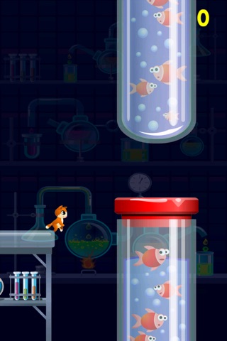 Kitty Cat Jump City - Don’t Get Boxed In Trying To Find Food screenshot 3