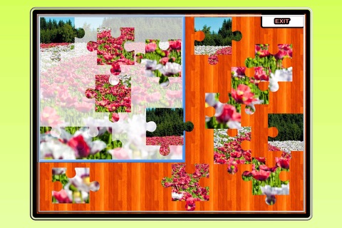 Amazing Photo Puzzle Jigsaw Bundle screenshot 3