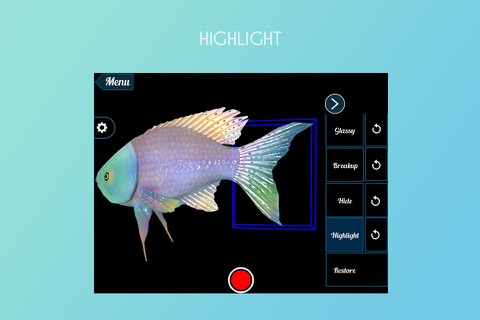 Fish 3D screenshot 3