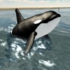 Orca Whale Simulator