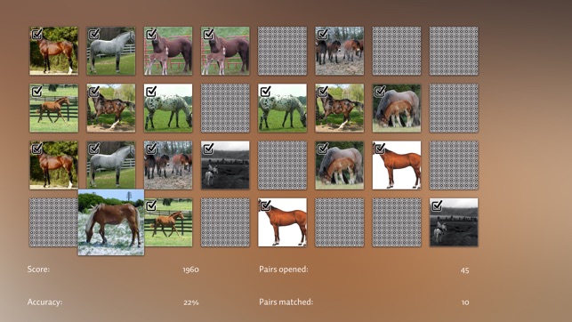 Horse Matching Puzzle(圖3)-速報App