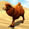 Real Camel Simulator 3d: Horse Racing game & wild animals games
