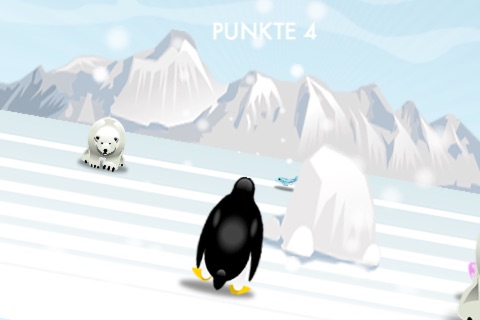 Pinguin Nordpol Rennen - náhled